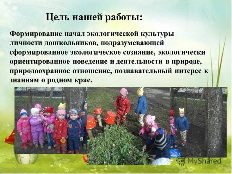 Формирование у детей экологической. Цель экологической грамотности. Экологическое воспитание вывод. Формирование у детей экологической. Цель экологической культуры дошкольников.