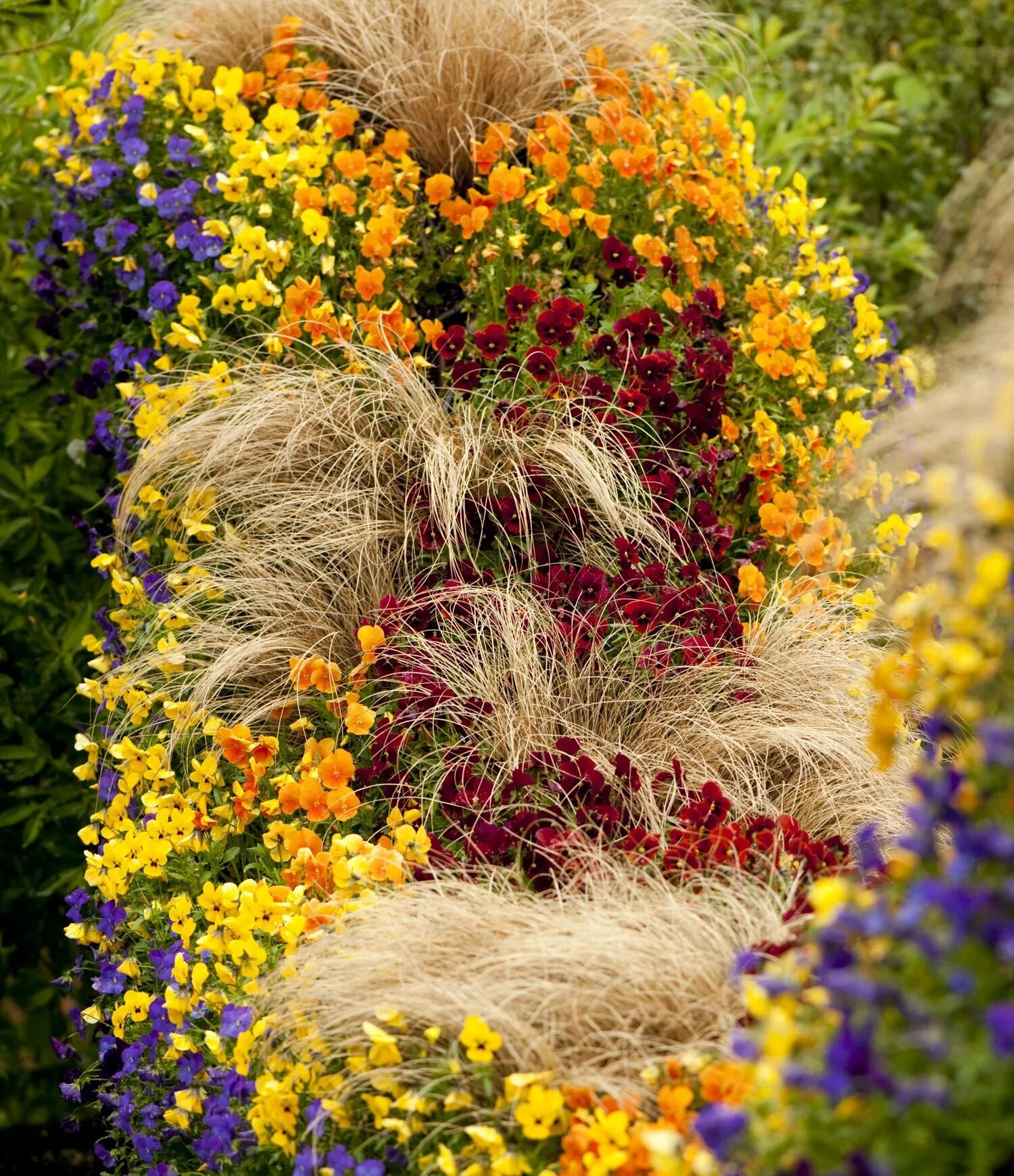 Желтые цветы на клумбе. Бархатцы ацтек лайм грин. Клумбу осенью. Осенний цветник. Клумбу осенью.