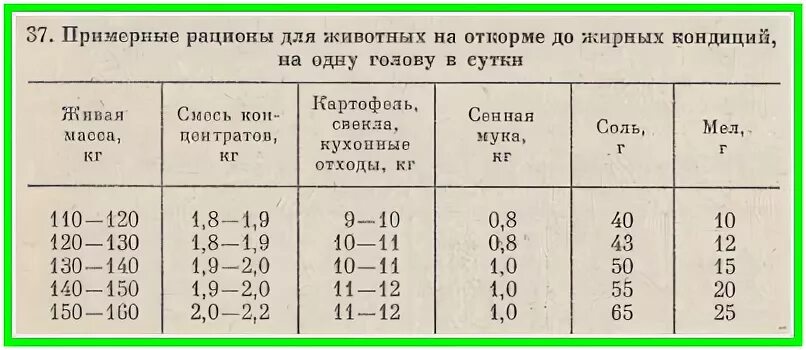 Можно ли месячным поросятам давать. Рацион фуража для свиней. Сколько комбикорма нужно свинье в день. Рацион кормления свиней. Сколько корма нужно поросенку в сутки.