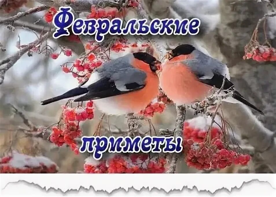 Когда начинается февраль. С последним месяцем зимы. открытки с последним месяцем зимы. февраль последний месяц зимы. февраль последний зимний месяц.