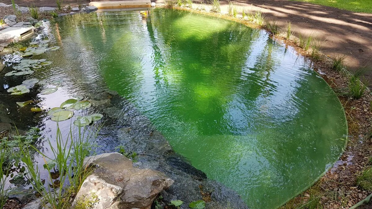 Водоем сверху. Биоплато для пруда. Плавательный пруд. Водоём пруд аквакультуа. Плавательный пруд с биоплато.