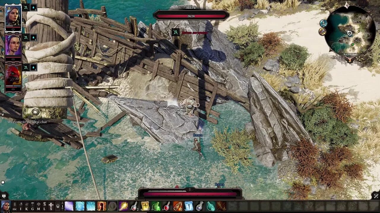 Divinity original sin 2 зверь. Divinity зверь. divinity original sin зверь. дивинити ориджинал син 2 зверь. divinity original sin 2 крокодил.