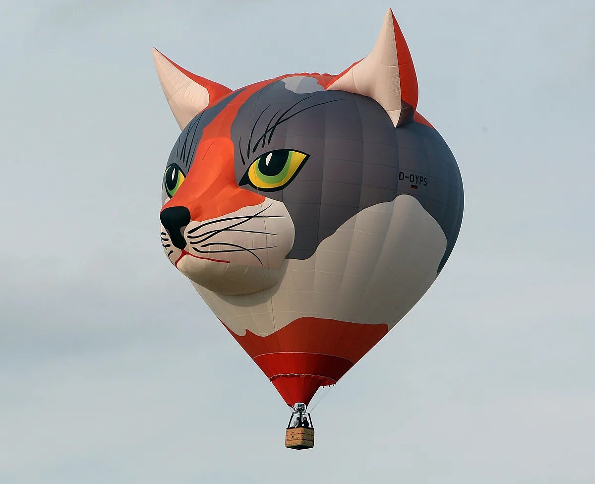 Кошка с воздушными шариками. Воздушный шар кошка. Воздушный шар в виде кота. Воздушный шарик в виде кота. Кот в виде шара.