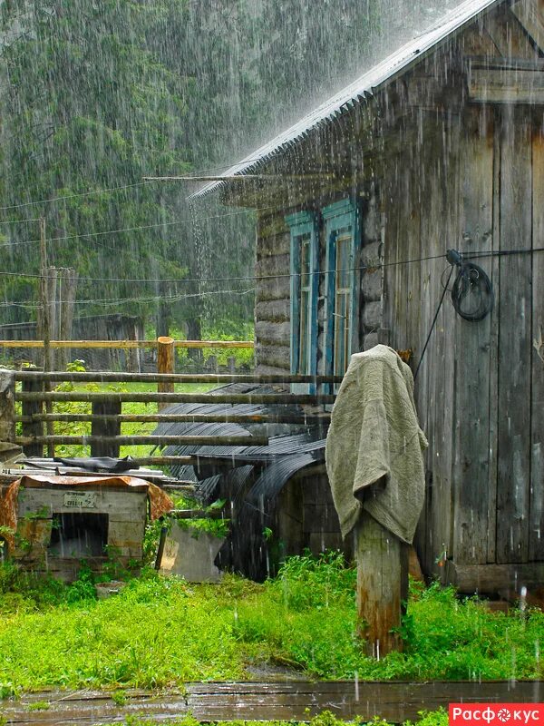 Дождь в лесу. Дождь дом. Деревенский дом в дождь. Дом и дождь. Дождь за окном.