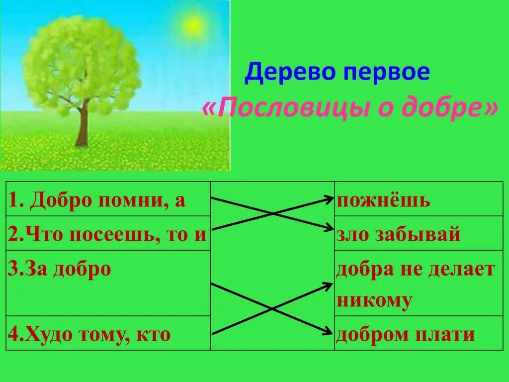 Пословицы дерево живет. Дерево пословицы о добре. Поговорки про деревья. Дерево добрых слов. Пословицы о деревьях.