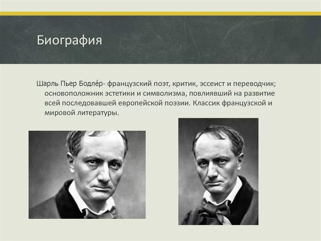 Бодлер биография и творчество. Французский поэт бодлер.