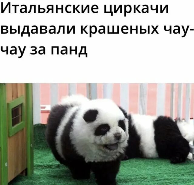 Потому что закройся