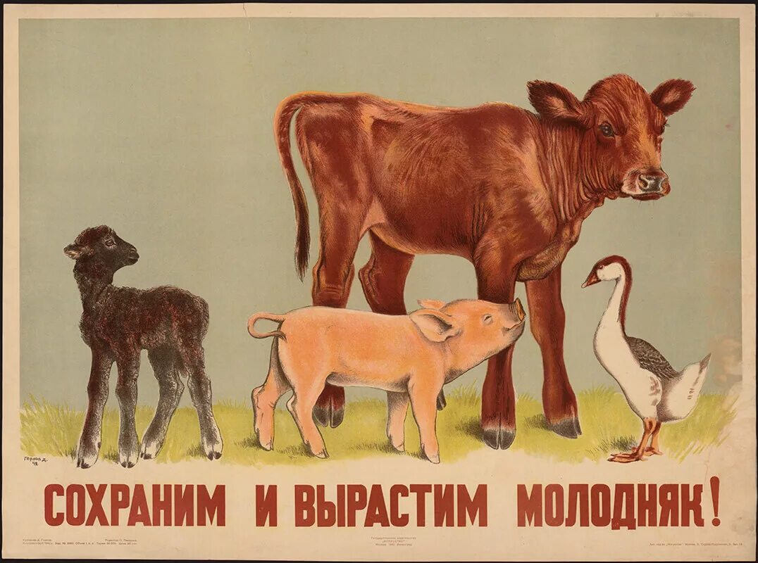 Символ грядущего года