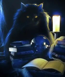 Волшебный кот книга