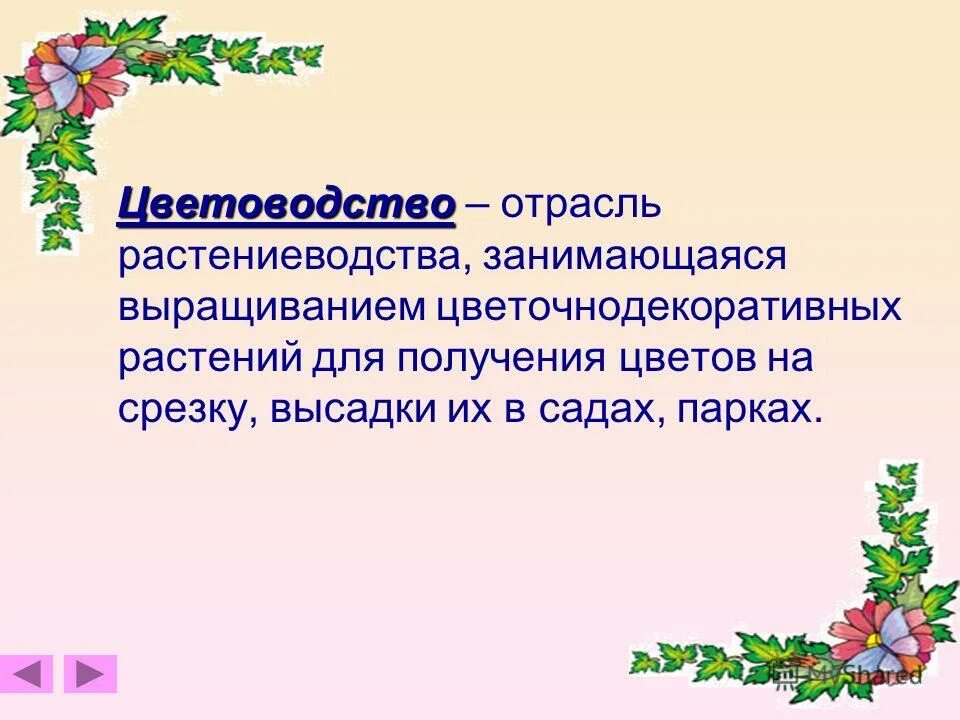 сообщение цветоводство 4 класс окружающий мир. цветоводство проект. сообщение цветоводство 4 класс окружающий мир. презентация на тему цветоводство. растениеводство цветоводство.