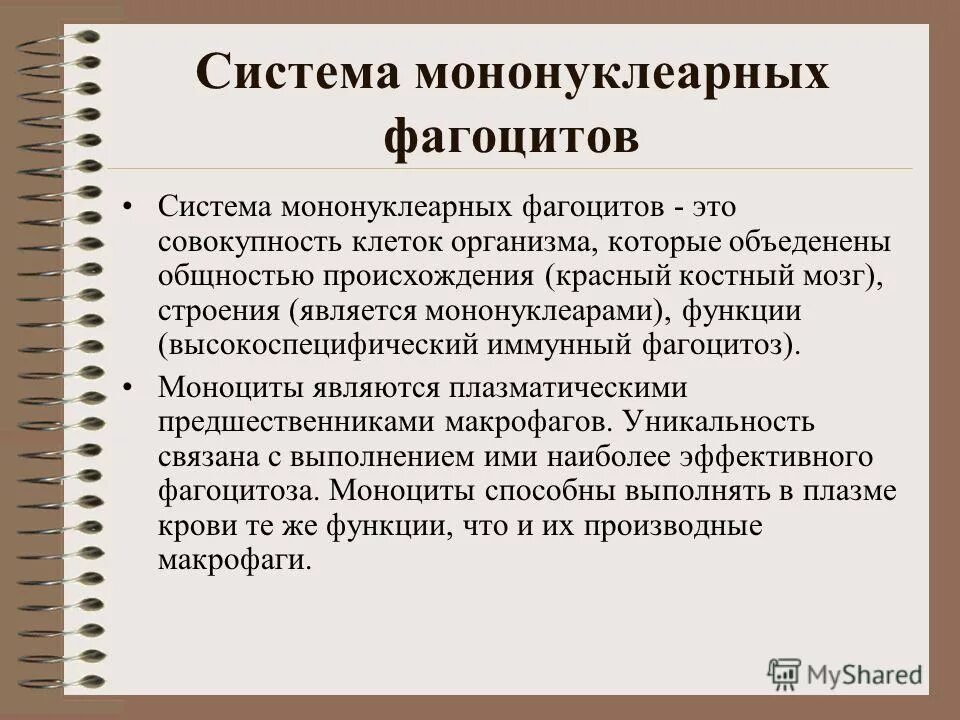 Система мононуклеарных фагоцитов. Система мононуклеарных фагоцитов. Система мономукоагрных фагоцитоза. Понятие о макрофагической системе. Роль в системе мононуклеарных фагоцитов.