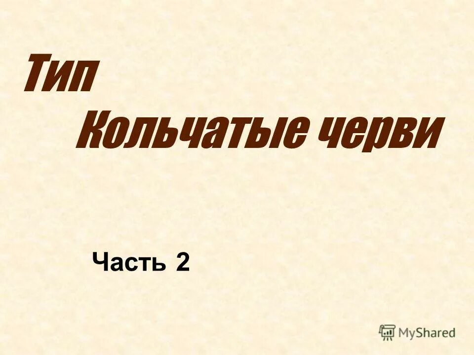 Черви часть 2