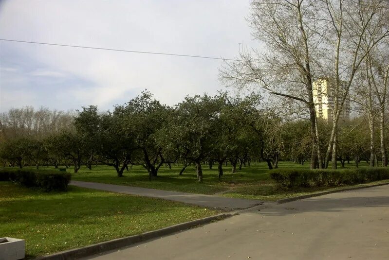 район фили-давыдково. погода фили давыдково москва. парк давыдково. погода фили давыдково москва. карта района фили-давыдково.