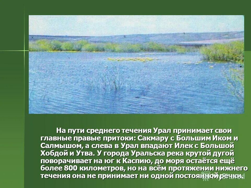 Куда впадает урал в какое море. Притоки реки Урал Оренбургской области. Правые притоки Урала. Течение Урала. Правые притоки реки Урал.