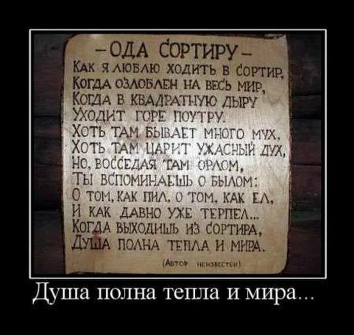 Ода сортиру. Демотиваторы про стихи. Ода туалету. Стихотворение про деревенский туалет. Обожаю ходить