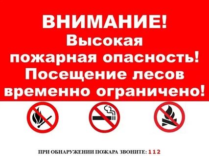 Ограничение пребывания граждан в лесах