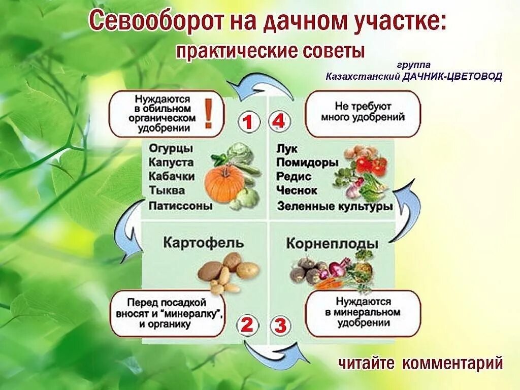 Схема севооборота овощных культур. Севооборот, схема севооборота. Схема севооборота на дачном участке овощных культур. Схема чередования культур в севообороте.