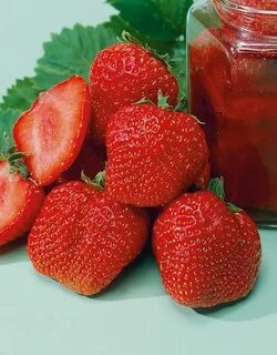Клубника лакомка