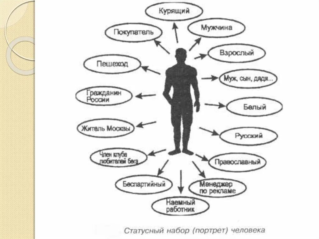 Социальный статус и статусный набор. Статусный портрет социальные статусы. Статусный портрет личности социология. Статусный портрет человека.