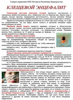 Энцефалит инкубационный