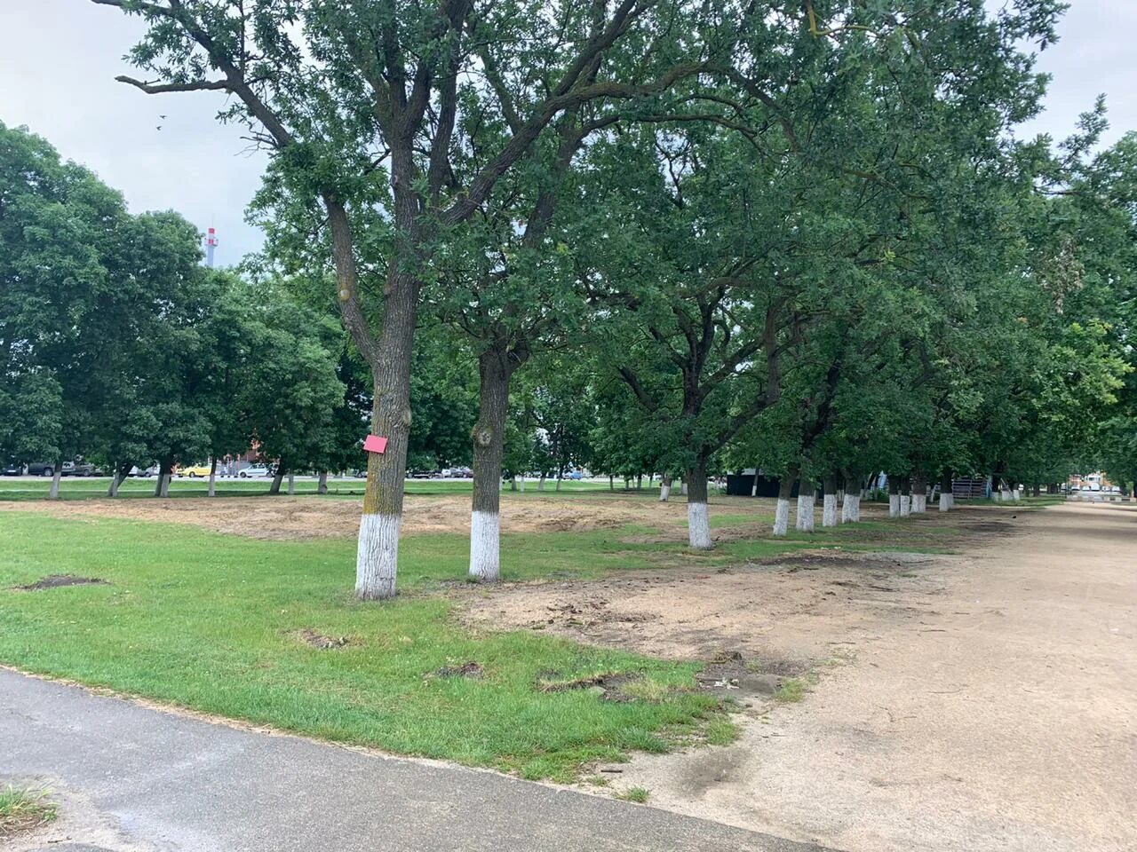 славянск на кубани парк. город славянск на кубани северный парк. славянск на кубани северный парк 2011. северный парк славянск на кубани проект. северный парк славянск на кубани проект.