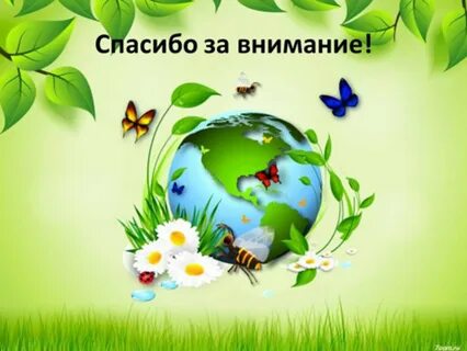 Экологические проекты для детей