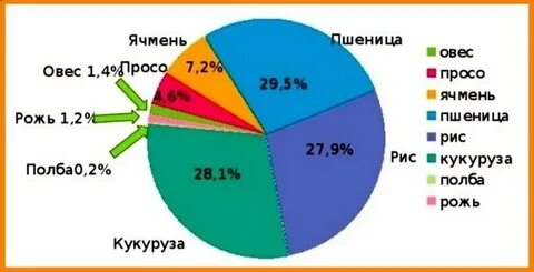 Проанализируй диаграмму основные зерновые культуры
