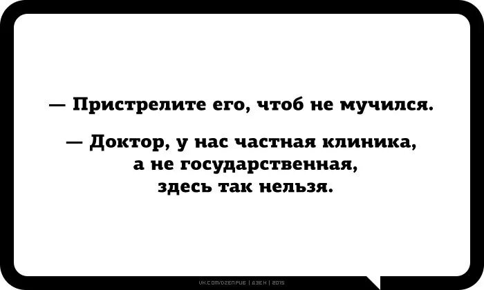 Пристрелите меня прикол. Пристрелите меня картинки. Смешные картинки пристрелите меня. Что вы можете сказать о героине.