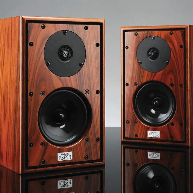 полочная акустика attitude alpha 1500. полочная акустика elac bs 204. Dali epicon 2 black. полочная акустика audioengine a2+ bt satin black. Dynaudio dm 2/10.