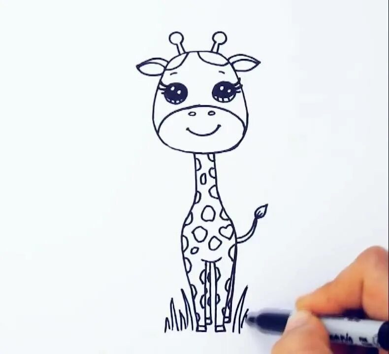 Жираф поэтапно для детей. Как нарисовать жирафа. Рисование Жираф пошагово. Нарисовать жирафа ребенку. Поэтапное рисование жирафа для детей.