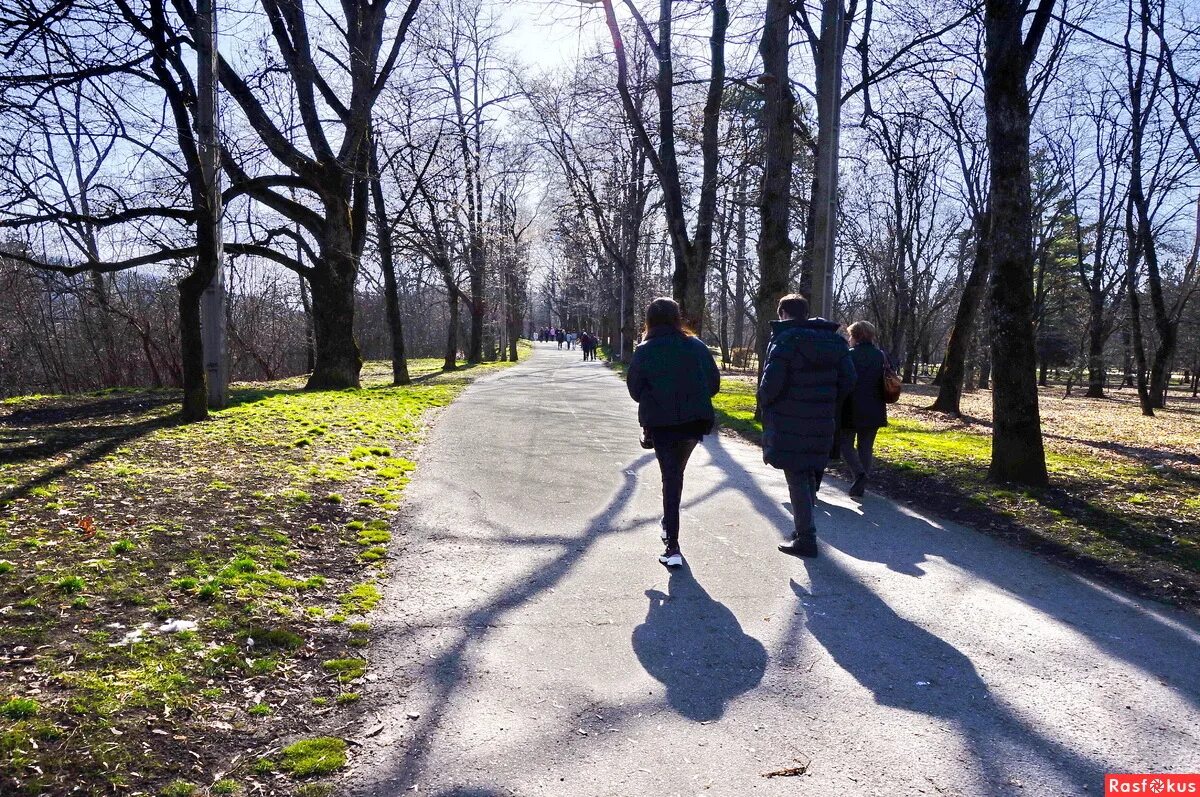 День в парке слова. Прогулка по парку. Прогулка в парке. Весенняя прогулка. Прогулка весной.