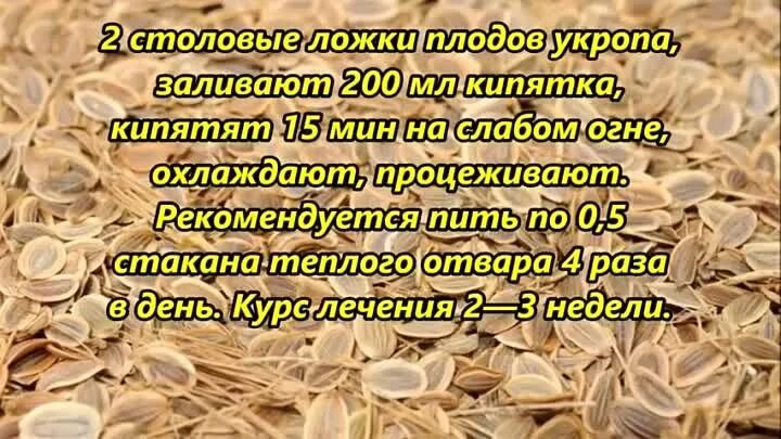 Укроп от давления рецепт. Семена укропа для похудения. Семена укропа от гипертонии. Семена укропа от давления. Как заваривать семена укропа для похудения.