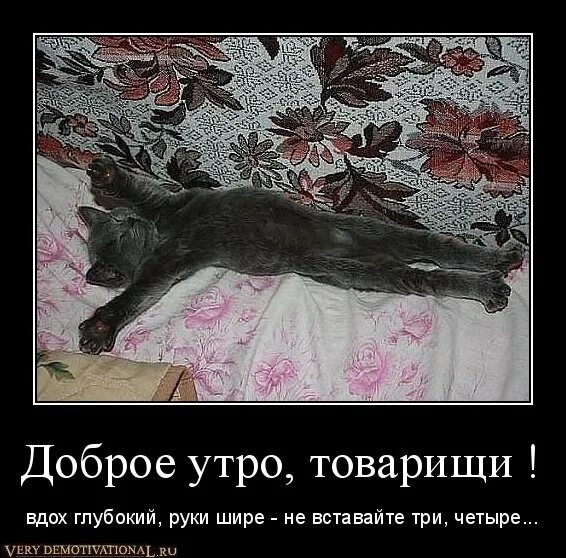 рано ложиться и рано вставать. если человек просыпается ночью. иллюстрации части суток для дошкольников. утром с бодуна. утренние картинки позитив.