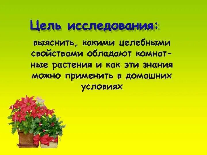 Лечебные свойства комнатных растений. Свойства комнатных растений. Лекарственные свойства комнатных растений. Проект целебные комнатные растения презентация. Презентация на тему лекарственные свойства комнатных растений.