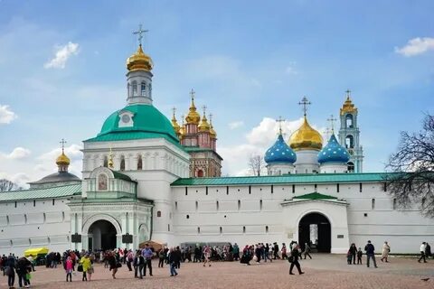 Артикул лавра