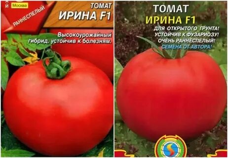 Характеристика томата черри ира
