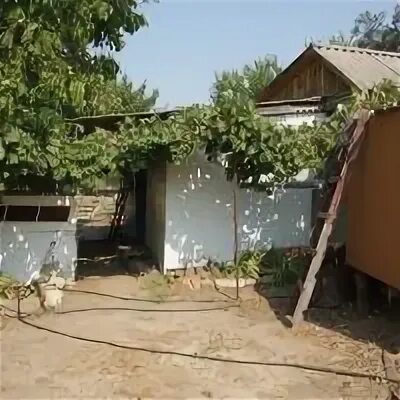 Дачи каменск шахтинский