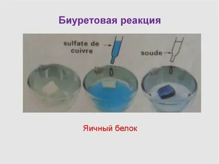 Определение белка биуретовым методом принцип метода