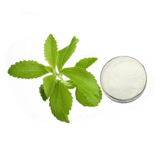 Stevia rebaudiana Bertoni. Mint Stevia. Стевия. Стевия на белом фоне.