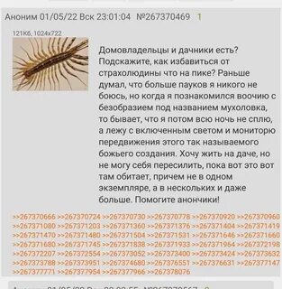 Опасна ли мухоловка для человека