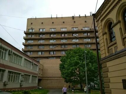 Сокол большой садовый пер 13 корп 6