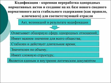 К кодифицированным нормативным правовым актам относятся