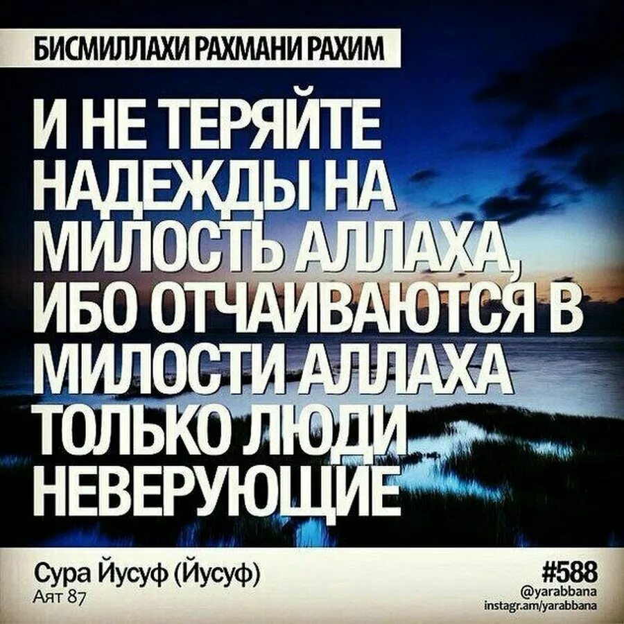 Уповать на всевышнего. Не отчаивайся в милости Аллаха. Не теряйте надежду на милость Аллаха. Отчаиваются в милости Аллаха только люди неверующие. Аяты про милость Аллаха.