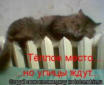 Теплое место на улице ждут отпечатков наших