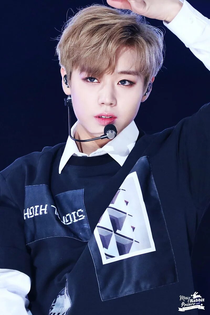 Wanna van. Wanna be логотип. Wanna. Wanna van. Wanna one участники имена.