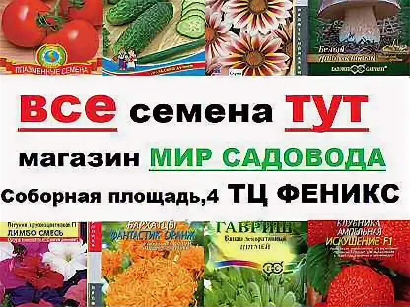 Семена тут оптом интернет