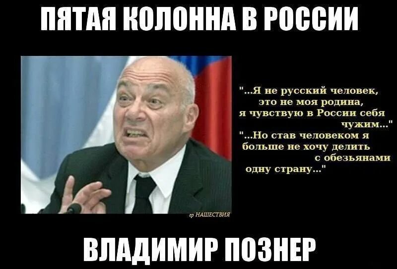 Пятая колонна что это. Пятая колонна что это. Современные либералы. Пятая колонна что это кто это. Предатели пятая колонна.