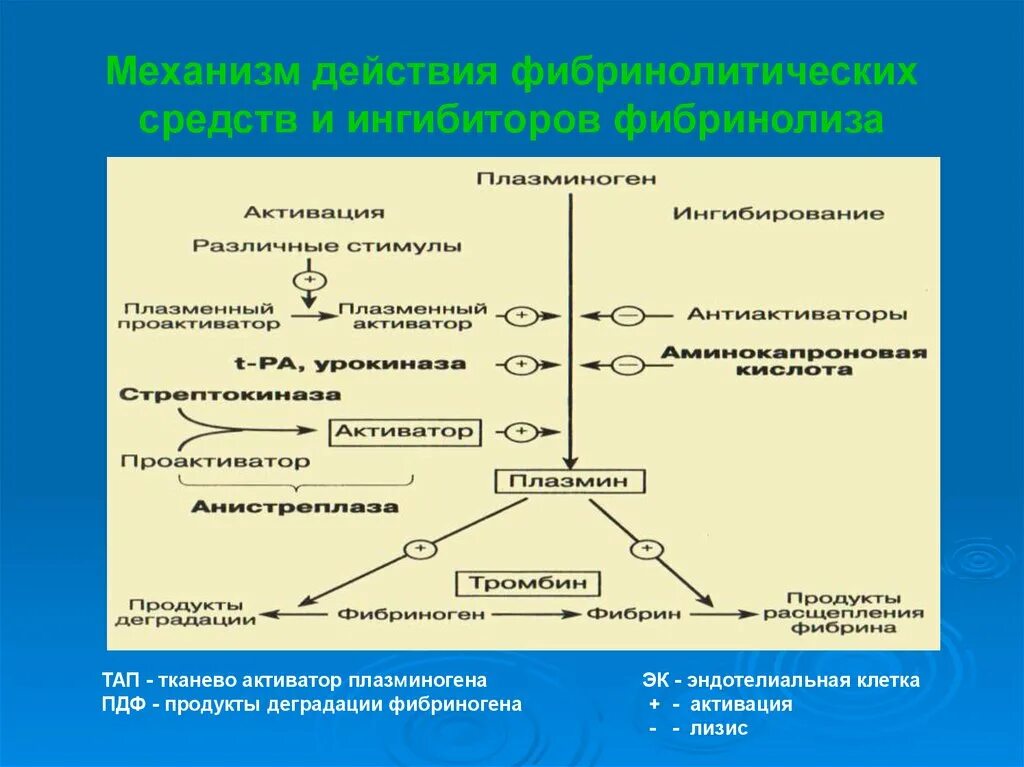 Ингибиторы фибринолиза механизм. Ингибиторы фибринолиза механизм действия. Механизм действия фибринолитических средств. Фибринолитики препараты механизм действия. Ингибиторы свертывания крови