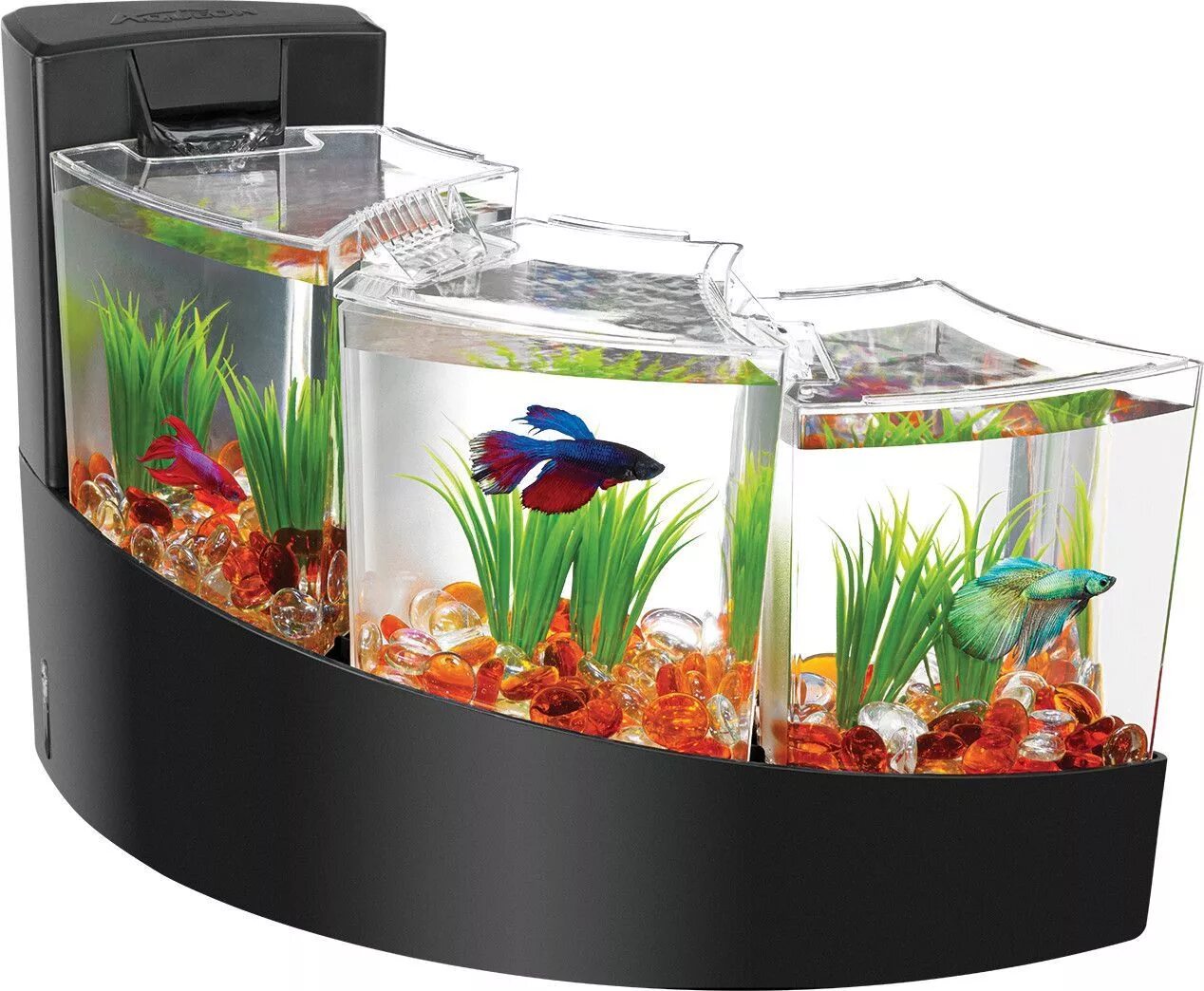 На столе стоит аквариум. Аквариумы aqueon 2 gallon betta falls aquarium kit. аквариум box betta 1.3. комплект aqueon betta falls. аквариум для рыбки бетта.