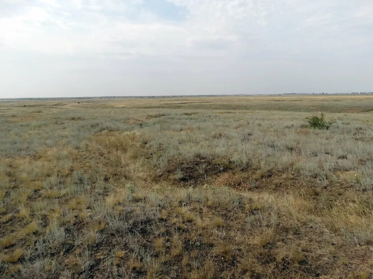 Погода песчанка белгородская область. Погода песчанка белгородская область. Какая на той неделе будет суббота погода песчанки. Погода песчанка белгородская область. Погода в песчанке.